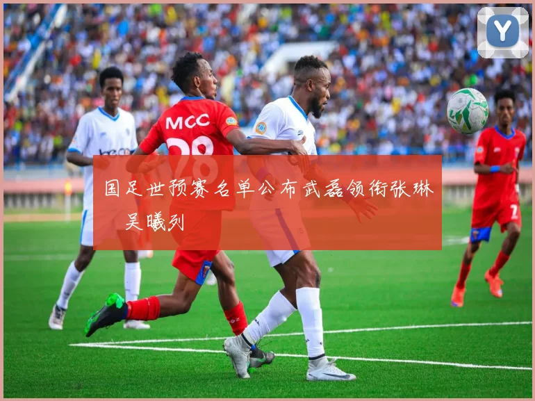 国足世预赛名单公布武磊领衔张琳芃吴曦列
