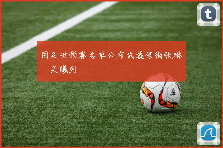 国足世预赛名单公布武磊领衔张琳芃吴曦列
