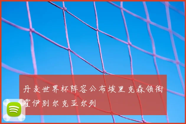 丹麦世界杯阵容公布埃里克森领衔霍伊别尔克亚尔列