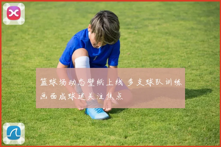 篮球场动态壁纸上线 多支球队训练画面成球迷关注焦点